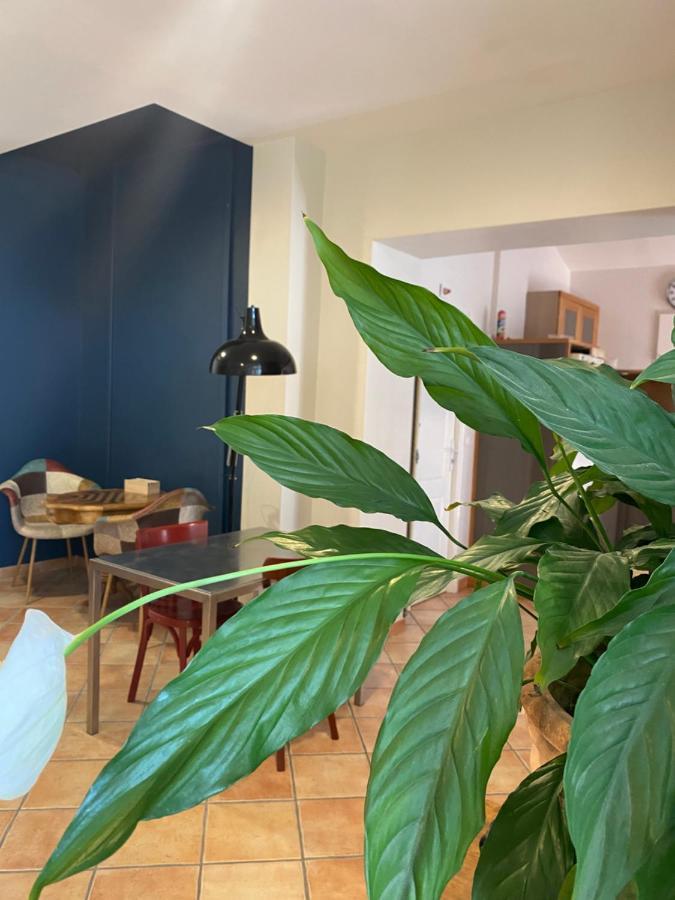 L'Atelier B&B Bédoin Dış mekan fotoğraf